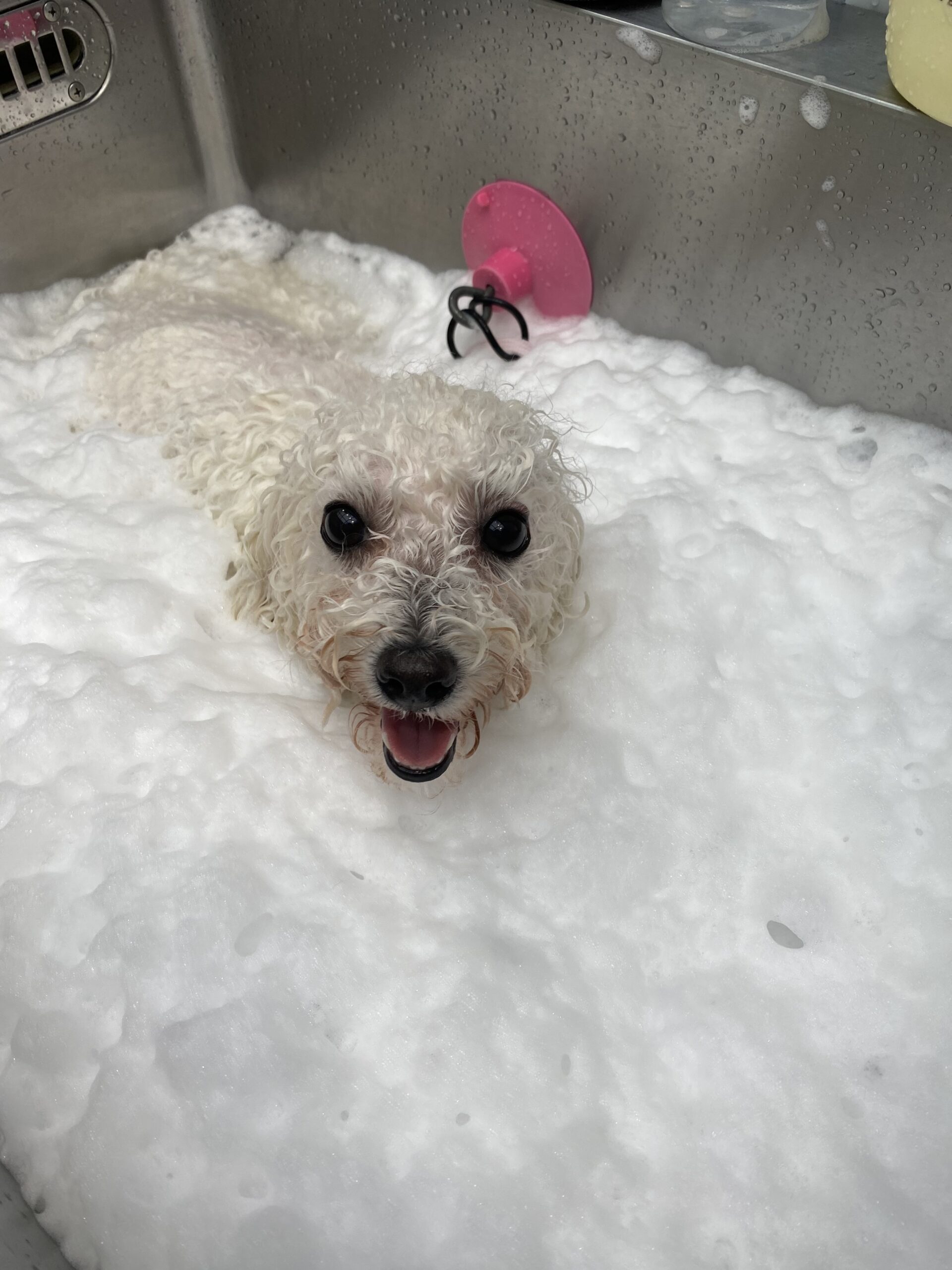 Jacuzzi Spa Lienのおすすめ写真